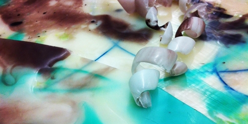 Conceal and Reveal | iNFOnews.ca Conceal and Reveal