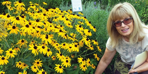 FREE Presentation on Xeric Plants for Pollinators | iNFOnews.ca FREE Presentation on Xeric Plants for Pollinators
