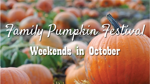 Family Pumpkin Festival