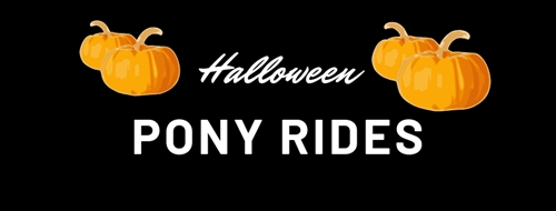 Pony Rides | iNFOnews.ca Pony Rides