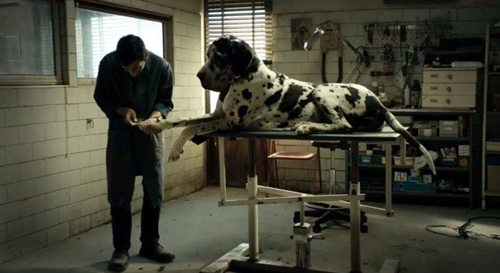 TFS: Dogman