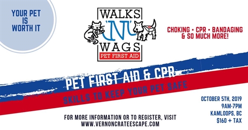 Pet First Aid – Kamloops, BC