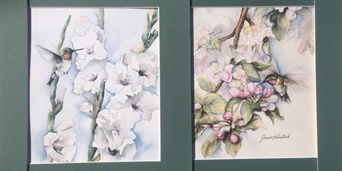 Watercolour Workshop with Janice – NEW Hummingbirds