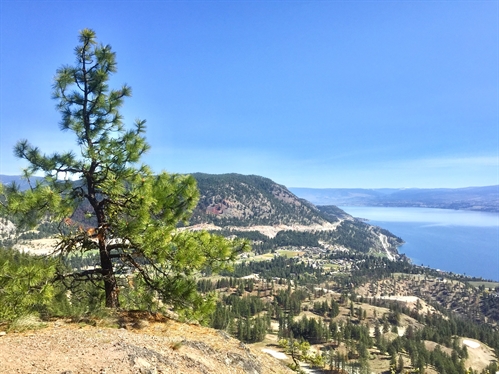 Pincushion Hike | iNFOnews.ca Pincushion Hike