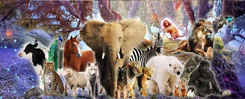 Spirit Animal and Community Gathering