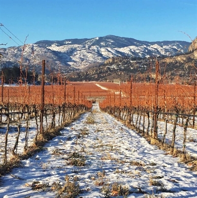 Winter in Wine Country at Covert Farms | iNFOnews.ca Winter in Wine Country at Covert Farms