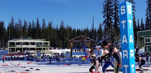 Sovereign Lake Open | iNFOnews.ca Sovereign Lake Open