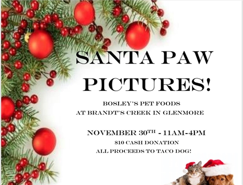 Santa Paw Pictures | iNFOnews.ca Santa Paw Pictures