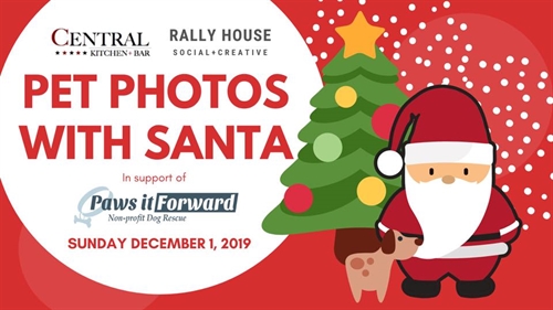 Pet Photos With Santa