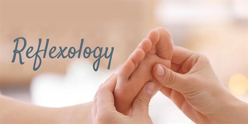 Basic Reflexology Practitioner Training