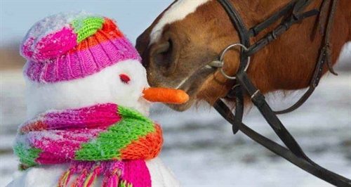 Food Drive at Diamond H Tack