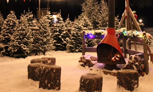 Christmas Tree Farm | iNFOnews.ca Christmas Tree Farm