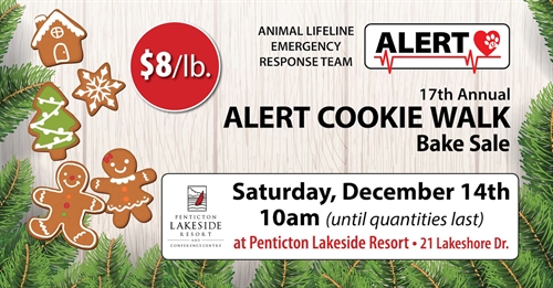 2019 ALERT Cookie Walk