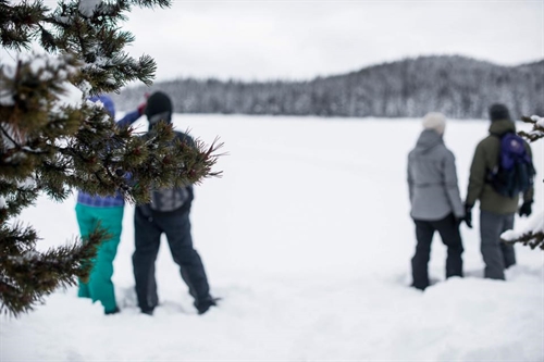 Snowshoe Tour and Dinner at Chute Lake | iNFOnews.ca Snowshoe Tour and Dinner at Chute Lake