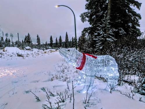 Light Up the Lake | iNFOnews.ca Light Up the Lake