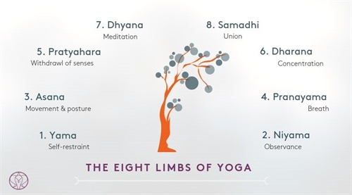 The Eight Limbs of Yoga Workshop with Shannon | iNFOnews.ca The Eight Limbs of Yoga Workshop with Shannon