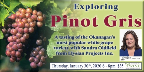 Exploring Pinot Gris | iNFOnews.ca Exploring Pinot Gris