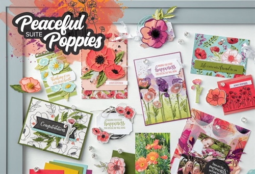 Peaceful Poppies Stamp-a-Stack Workshop