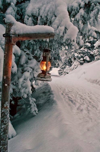 Valentine Night Ski