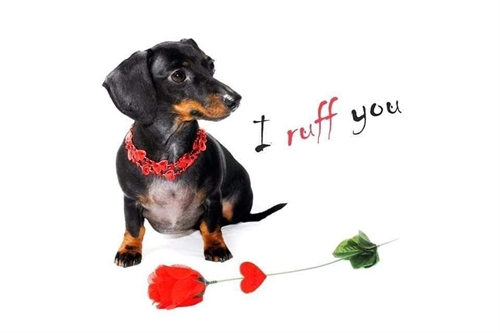 Valentine’s Day Bash!