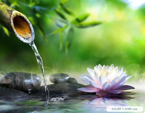 Mindfulness Class