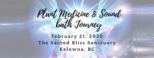 Plant Medicine & Sound Bath Journey