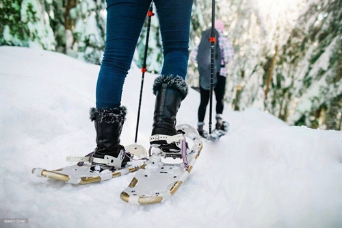 SnowQuest-Kelowna Nordic Club Snowshoe Edition | iNFOnews.ca SnowQuest-Kelowna Nordic Club Snowshoe Edition