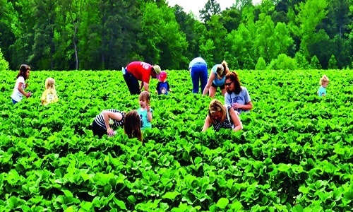 Agri-Tourism Workshop