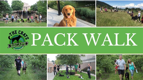 Pack Walk | iNFOnews.ca Pack Walk