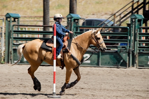 Intro to Rodeo Camp- Ages 3-7 | iNFOnews.ca Intro to Rodeo Camp- Ages 3-7