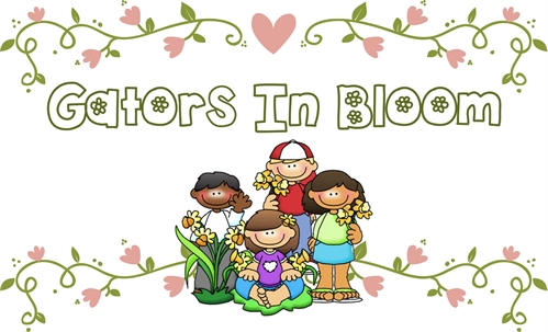 Gators In Bloom | iNFOnews.ca Gators In Bloom