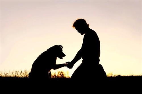 Pet Loss Grief Support Group