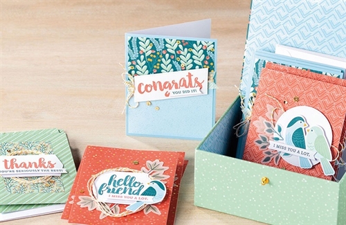 Seriously the Best Cards & Box on ZOOM