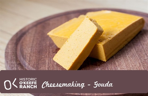 Cheesemaking Class – Gouda