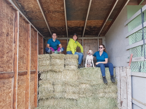 Barn Kids Social Group – Summer Session