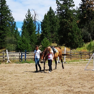 Summer Camp 2