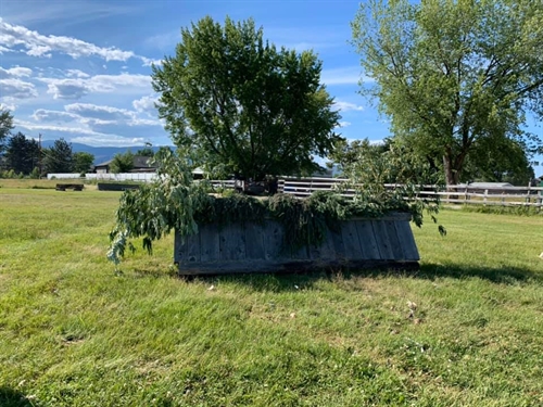 Kelowna Riding Club – August Derby Days!