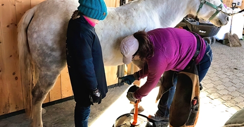 Hoof Trimming Clinic – Kelowna, BC August 1-3, 2020