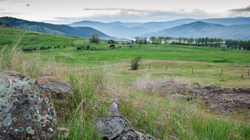 Allan Brooks Nature Centre: Online and Outdoor Activities | iNFOnews.ca Allan Brooks Nature Centre: Online and Outdoor Activities