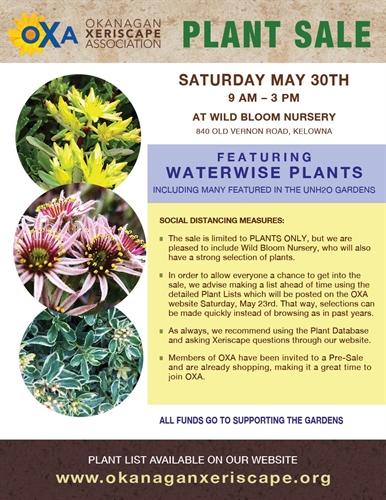 OXA Xeriscape Plant Sale | iNFOnews.ca OXA Xeriscape Plant Sale