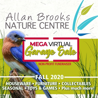 Allan Brooks Virtual Garage Sale (online)