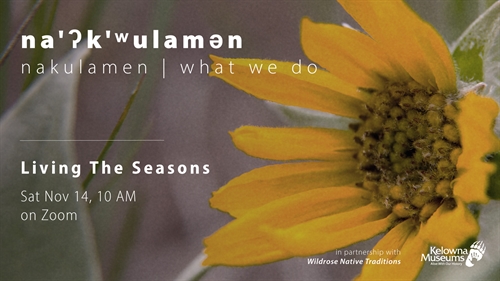 na’?k’?ulam?n (what we do): Living the Seasons (Online Workshop)