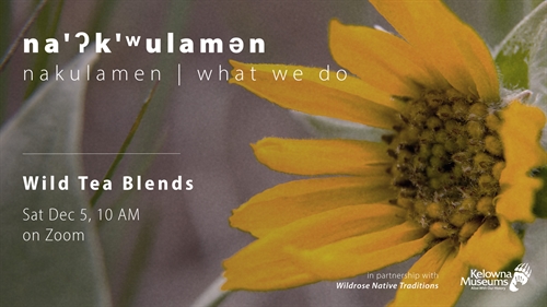 na’?k’?ulam?n (what we do): Wild Tea Blends (Virtual Workshop)