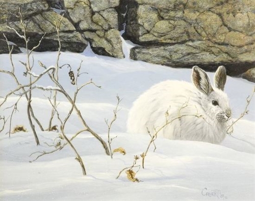 Penticton Art Gallery: 43rd Annual Auction (Online)