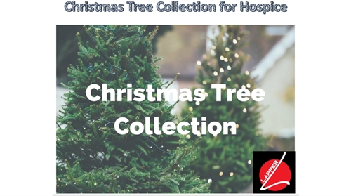 Christmas Tree Collection for Hospice