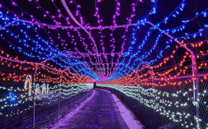 Wildlights: An Annual Christmas Tradition at the BC Wildlife Park
