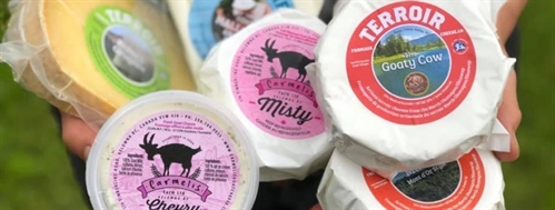 Tuesday Night Short Table Dinner at Tinhorn Winery – A Celebration of Cheese