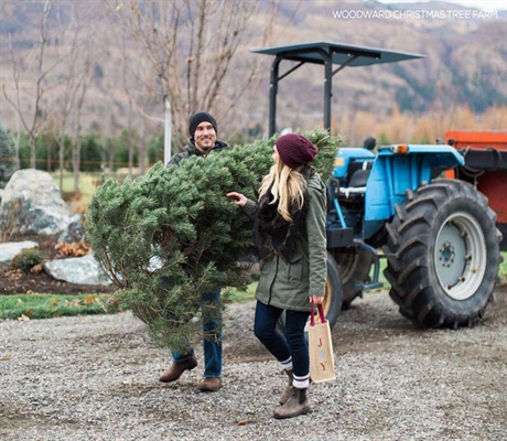 Woodward Christmas Tree Farm | iNFOnews.ca Woodward Christmas Tree Farm