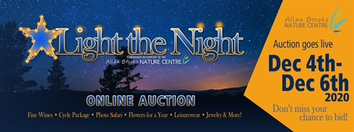 "Light the Night "- Support Allan Brooks Online Auction Fundraiser | iNFOnews.ca “Light the Night “- Support Allan Brooks Online Auction Fundraiser