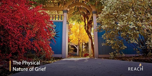 The Physical Nature of Grief : Webinar